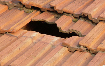 roof repair Corntown